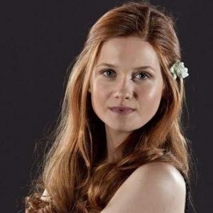 Meet your Posher, Elsa